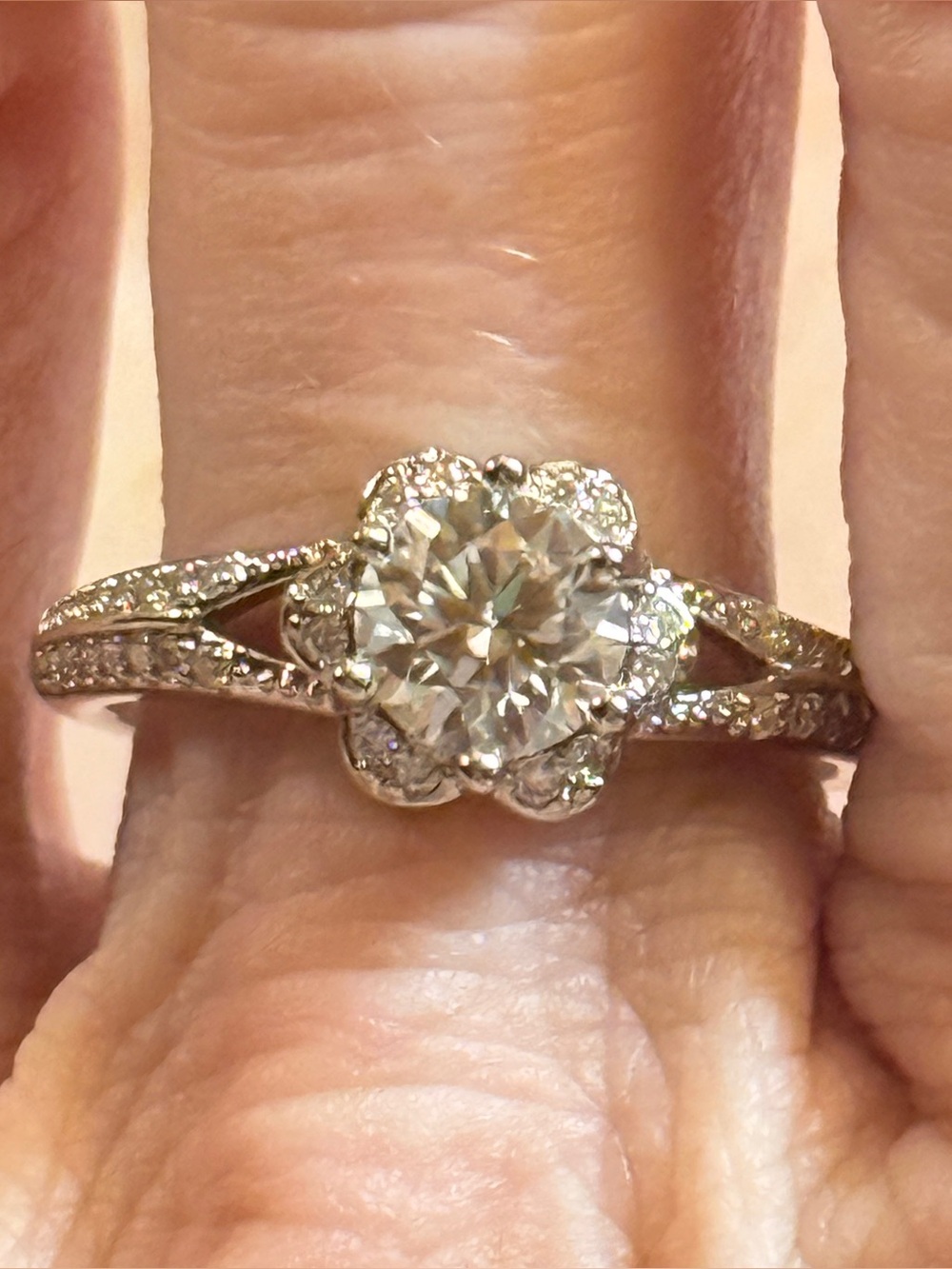GRA certified Moissanite Diamond Halo Flower Ring 925 Sterling Silver NEW
